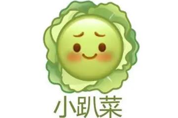 小趴菜什么意思，指实力不行的人(像煮熟的白菜软趴趴)