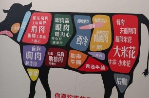 牛腩是牛的哪个部位，牛腩位于牛的下腹部(牛的分割图)